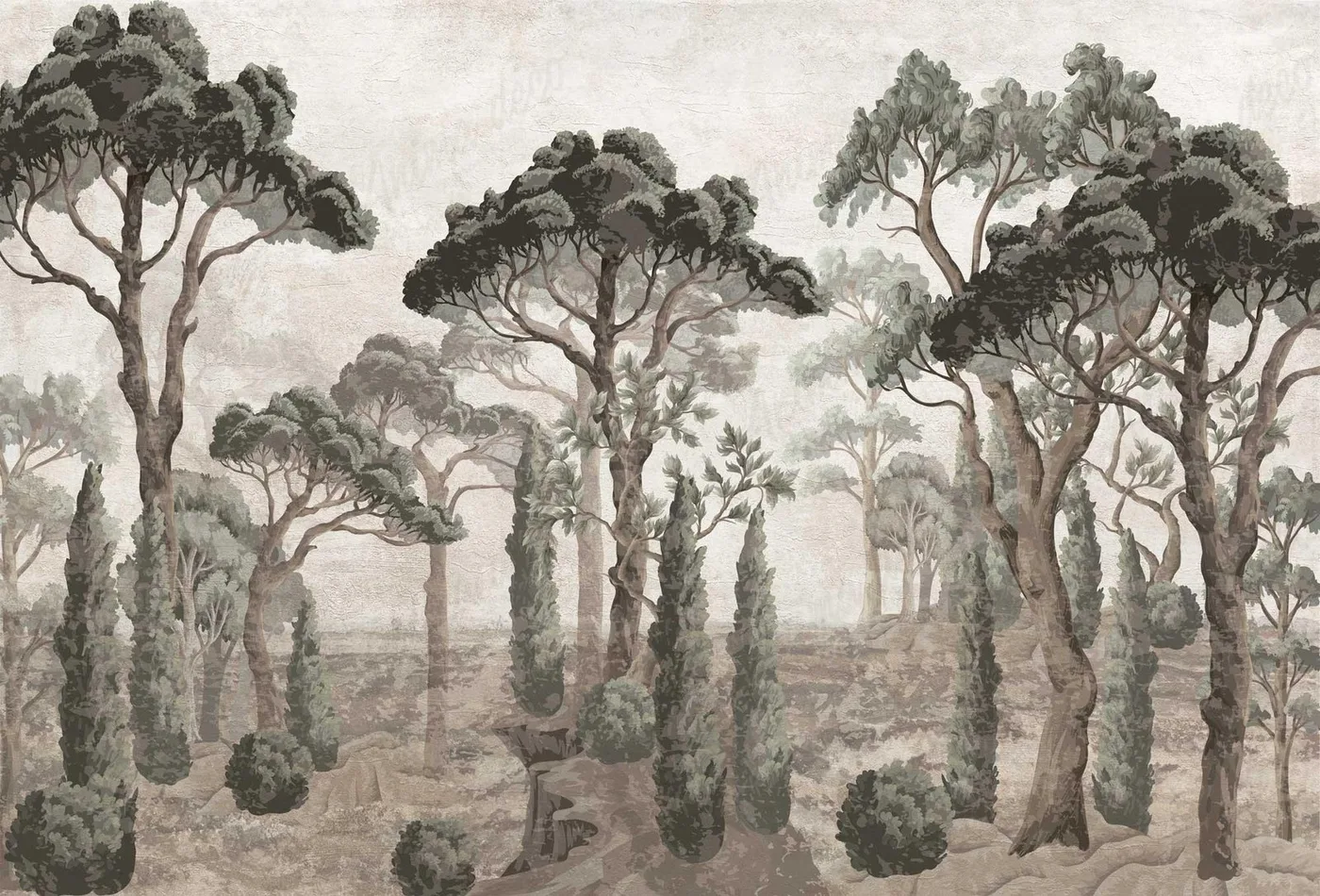 Vista 3