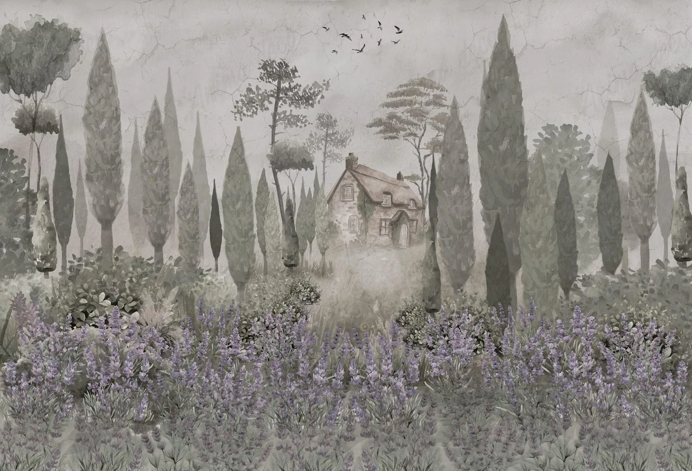 Vista 2