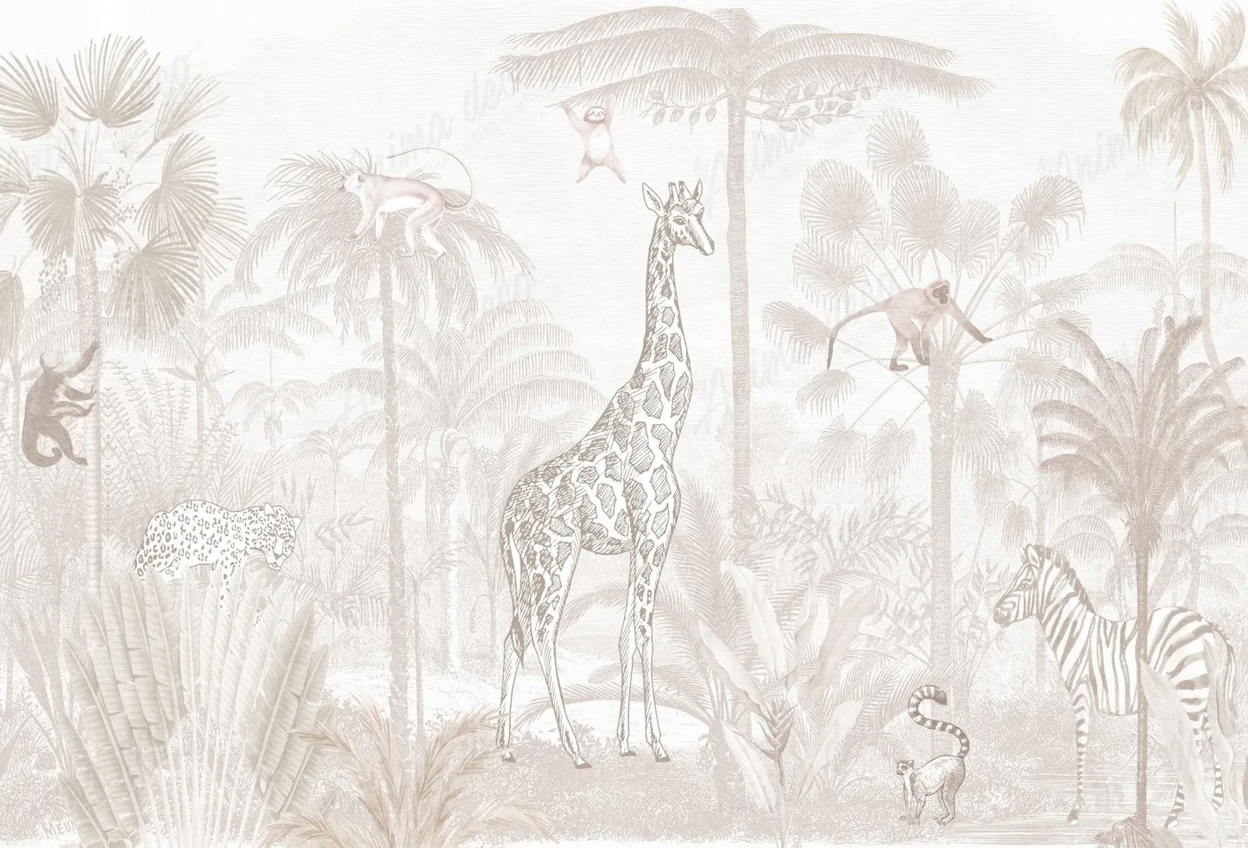 Vista 3