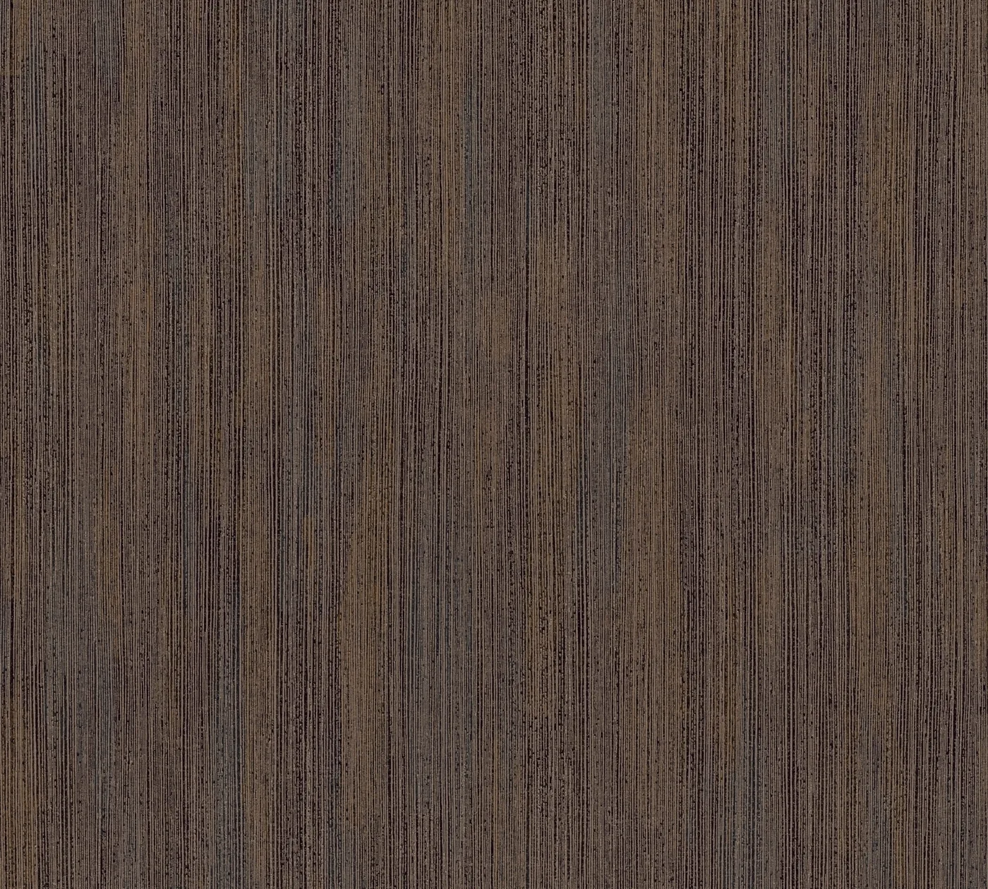 Vista 6