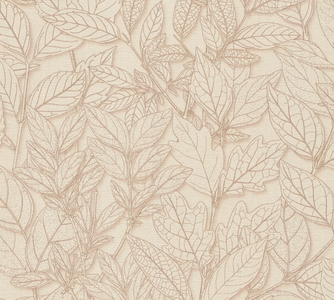 Vista 6