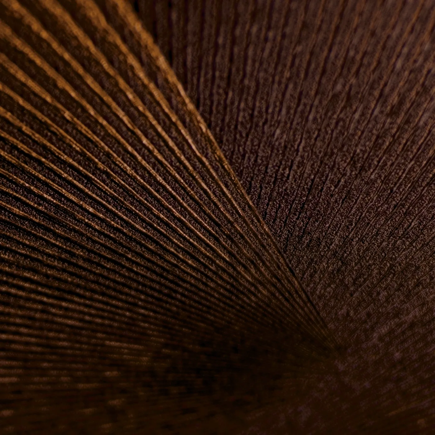 Vista 5