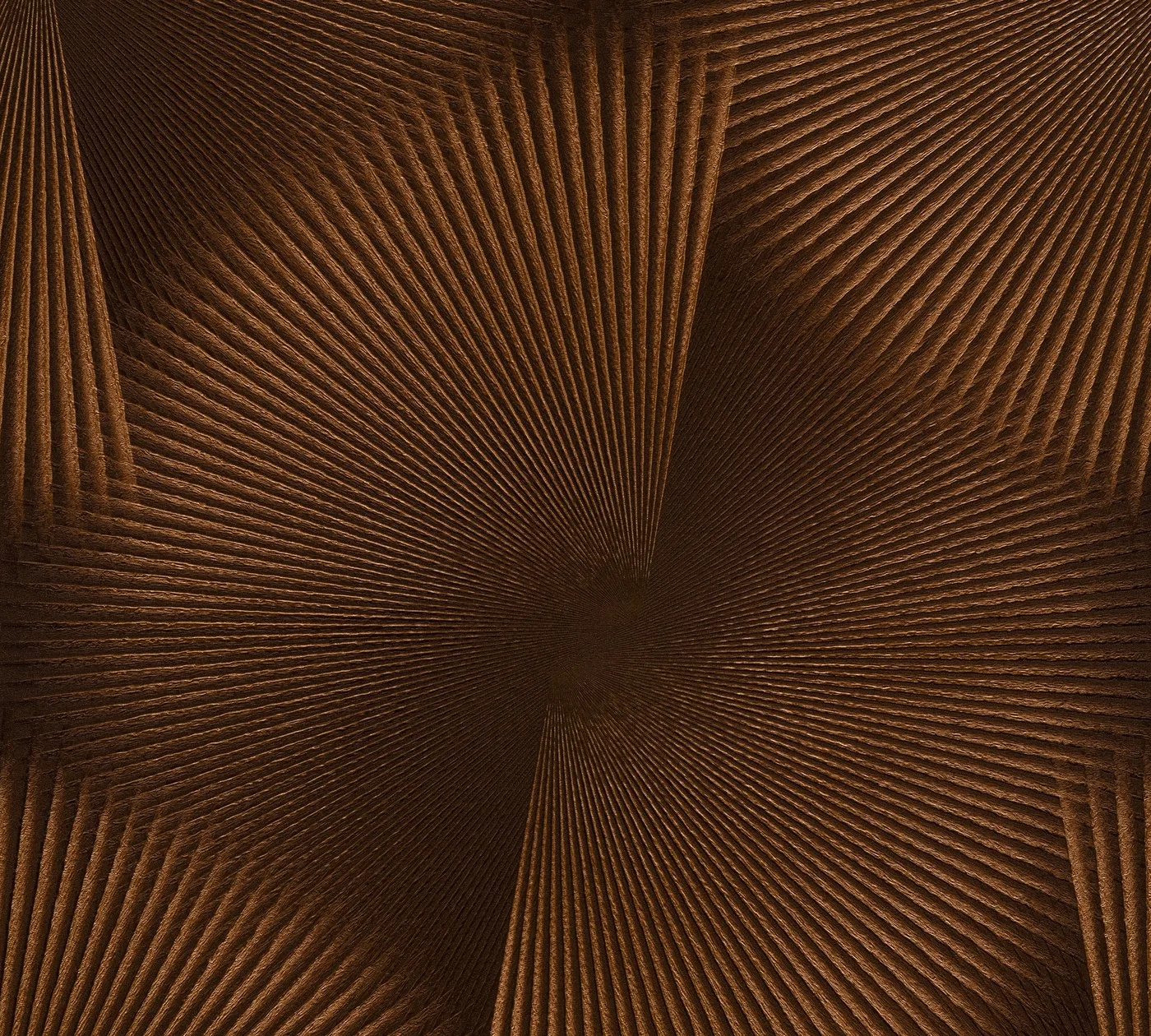 Vista 6