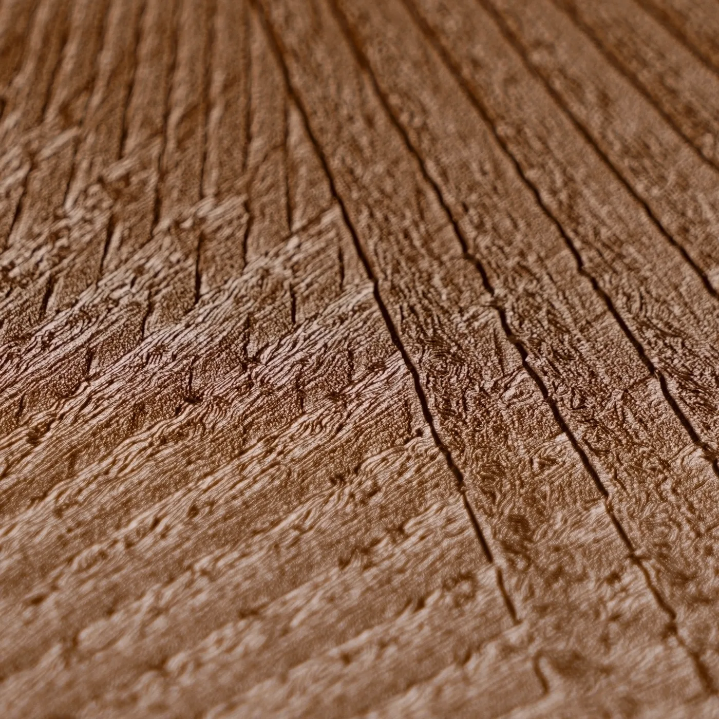 Vista 5