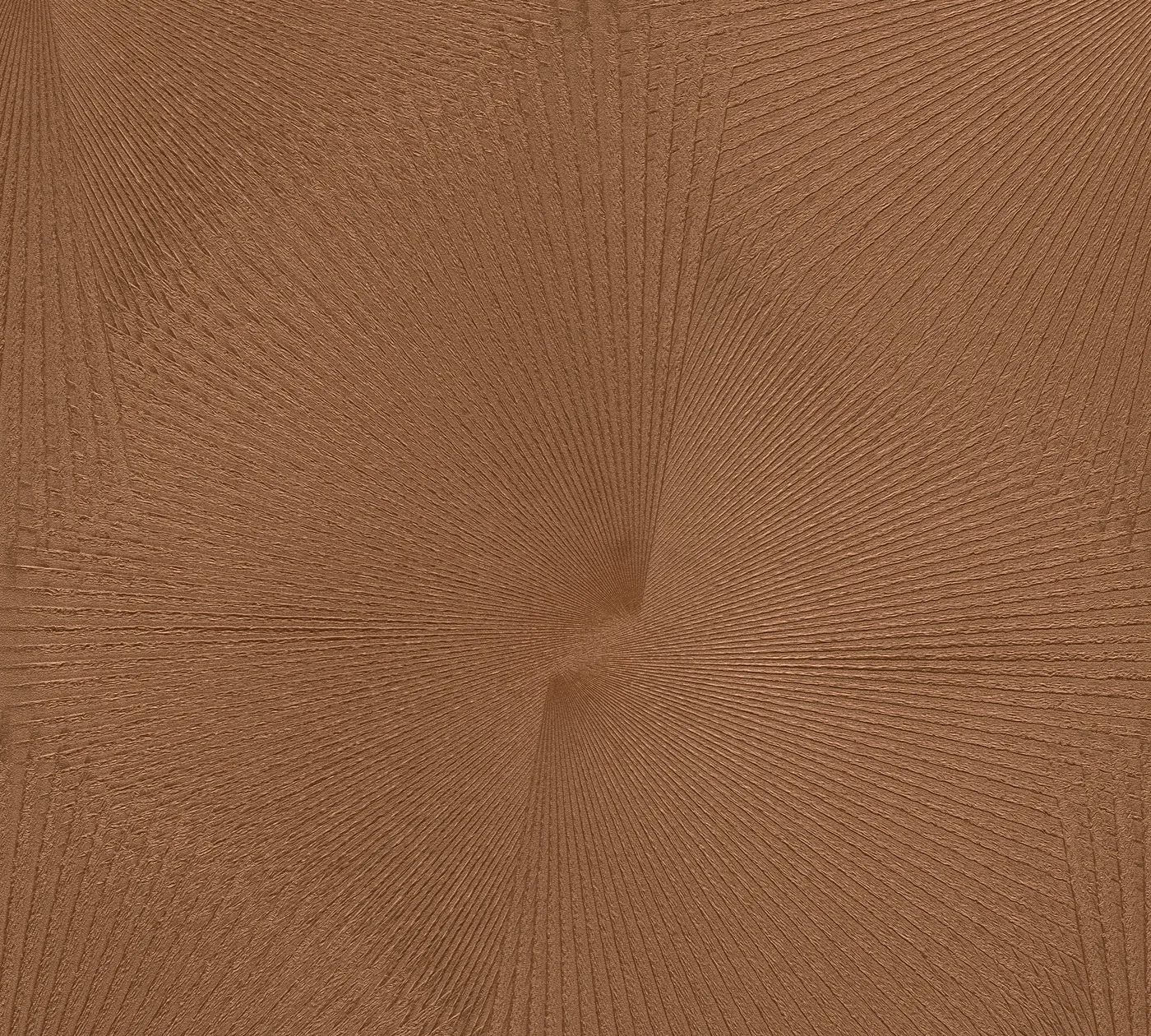 Vista 6